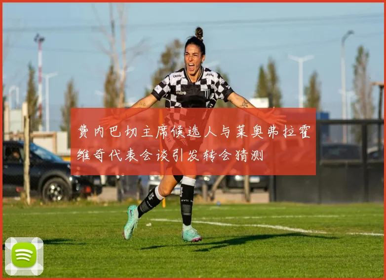 费内巴切主席候选人与莱奥弗拉霍维奇代表会谈引发转会猜测